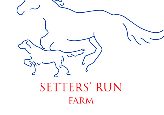 Setters’ Run Farm